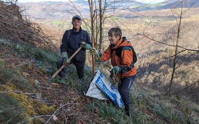 300 zuhaitz landatu dituzte Elgoibarren, bertoko basoa eta paisaia berreskuratzeko