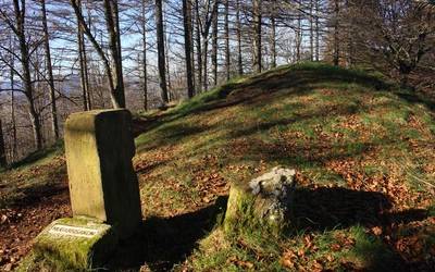 3.000 sinadura Trekutz parke eolikoaren aurka