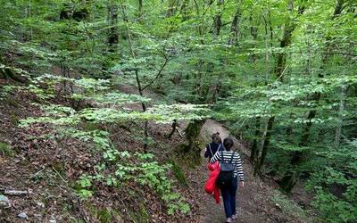 Bertizko Natur Parkeak oihana zentzumenen bidez ezagutzera animatu du aste honetan