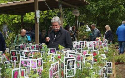 Apirileko azken asteburuan izango den Landare Berezien Azokarako boluntarioak behar dituzte