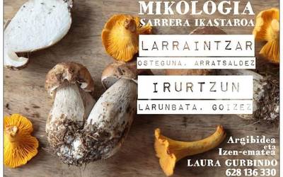 Mikologia hastapen ikastaroak, Larraintzarren eta Irurtzunen