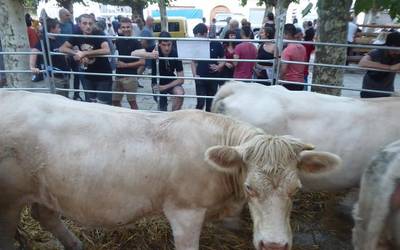 Feria garaia Etxarri Aranatzen