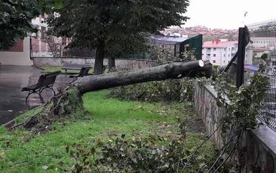 Alerta laranja aktibatu dute biharko, haize-bolada handiengatik