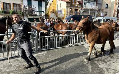 Feriak, eguraldia lagun