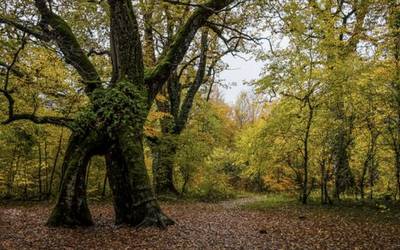 Kantsatzeke mendi taldeak 'Trikuharrien ibilbidea' proposatzen du urriko azken domekarako