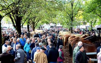 Udazkeneko feria izanen dute ortziralean eta larunbatean Elizondon