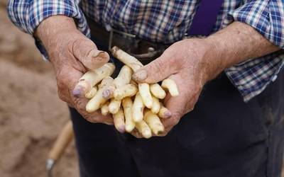 Bueltan da Errigoraren euskarari puzka emateko uzta