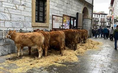 200 azienda baino gehiago plazaratu dituzte Lesakako ferietan