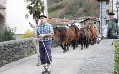 Azienda, artisau eta nekazari feria eginen dute larunbatean Goizuetan