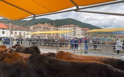 Abenduaren 14an ospatuko dute aurtengo Santa Luzia azoka Orozkon