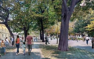 Sarasate pasealekuak plataforma bakarra izango du eta zuhaitzak errespetatuko ditu