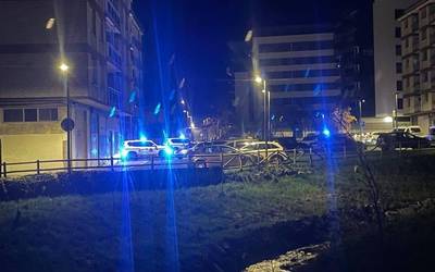 Pertsona bat atxilotu dute Laudion furgoneta bat lapurtzen saiatzea egotzita
