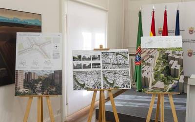 Sanduzelai eraldatzeko proposamen irabazlea ekainean aukeratuko da