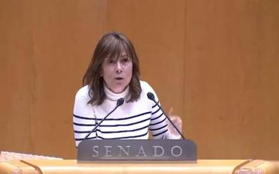 Hego Euskal Herriko AHTren "definizioan eta akaberan aurrera egiteko" eskatu dio Senatuak Gobernuari