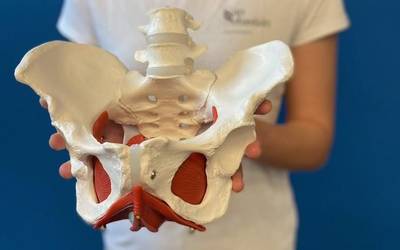 Zoru pelbikoaren gaineko ikastaroa egingo dute Martxoaren 8an