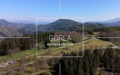 Goitik begira: Gorla