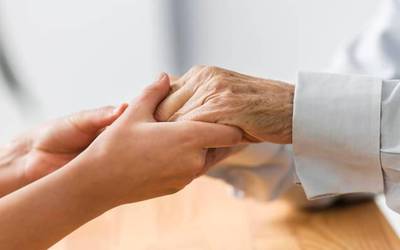 Bortzirietako zaintza diagnostikoa aurkeztuko dute ortzegunean Lesakan