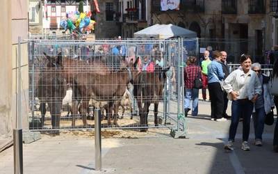 San Isidro eguna ospatu dute antzuolarrek
