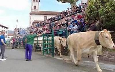 Maiatzaren 24an eginen da aurtengo Urepeleko marka