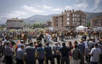 Azpigorri ahuntzak eta Euskal Herriko mendiko zaldiak Orozkoko azoka egunean