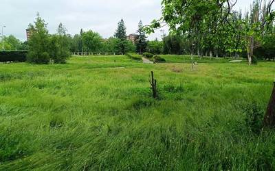 'Green and wild' daude Gasteizko parkeak
