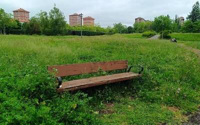 Gasteizko Udalak gutxienezko zerbitzuak eskatu ditu lorezainen grebarako