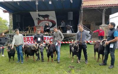 Ahuntz Egunaren XXVI. edizioa ospatuko dute Baranbion gaur eta igandean