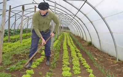 Baratzeko lanak eta Lesakako merkatua solasbide