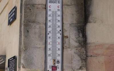 Albistegia: 2025-06-30