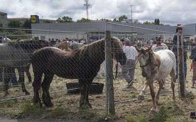 Iruñeko Feria eta mingain urdina solasbide