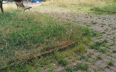 Kejie ta desditxie: "Diru partida bat zertan erabili galdetzen duzue?"