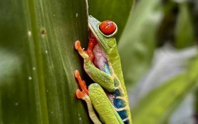 Costa Rica