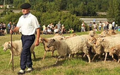 Gaizka Uharte  (Artzai eguna): “Artzaintzaren sektorea babesteko eta bultzatzeko eguna da”