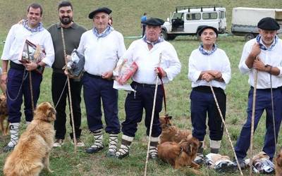 Debagoiendarrak ez dira onenen artean izan Gipuzkoako Artzain Txakur Txapelketan