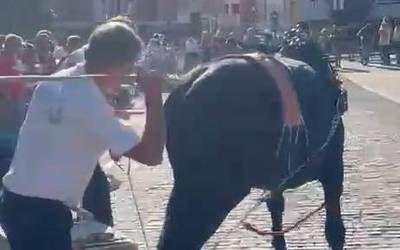 Leioako San Bartolome auzoko asto-probak ordezkatzeko herri-ekimena aurkeztu dute