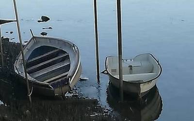 Tere Guenetxearen udako argazkiak