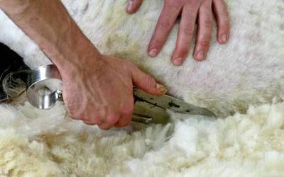 Artile bilketa zerbitzua eskainiko du urrian Mendialdea Mankomunitateak