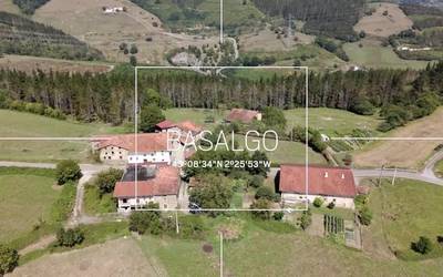 'Goitik begira': Basalgo (Bergara)