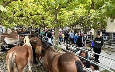 Feriak direla eta, egitarau betea Etxarri Aranatzen
