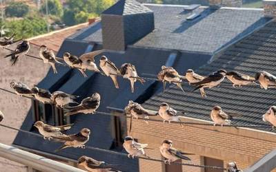 Larunbat goiza zerumugan