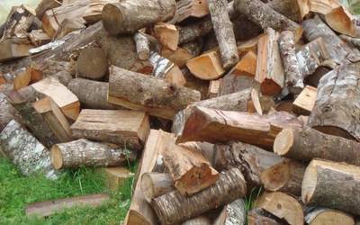 Urriaren 31ra arte eskatzen ahal da sutarako egur lotea Etxalarren