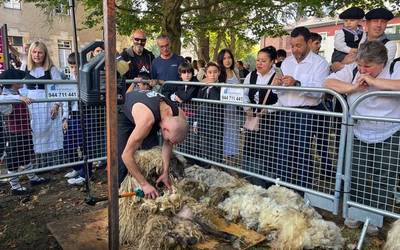 Oñatiko Herri Eguna, argazkitan