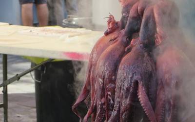 Hilaren 24an banatuko dituzte Olagarro Eguneko argazki rallyko sariak