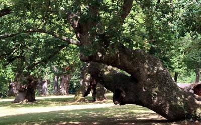 Heriotzatik gertu egon diren hainbat oñatiarren testimonioak jaso dituzte liburu batean