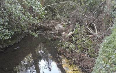 Deba ibaiaren zati bat, enborrez beteta