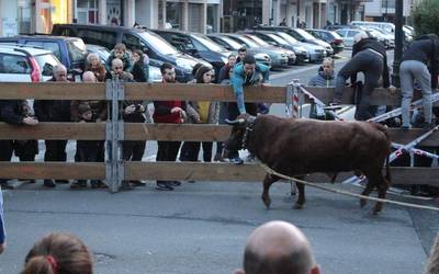Sokamuturraren ad(arrak). Erritu zaharrak, erronka berriak