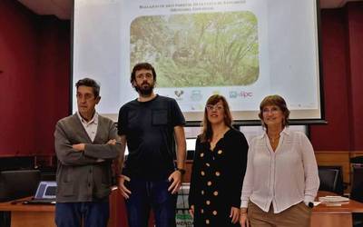 Labar-artea aurkitu dute Mendaroko Santakutz kobazuloan