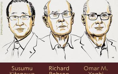 Ikusezinaren arkitektura: 2025eko Kimikako Nobelaren iraultza porotsua