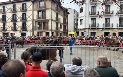 Ferietan 23 sari banatu zituzten