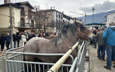 Ferietakoa, asteburu animatua